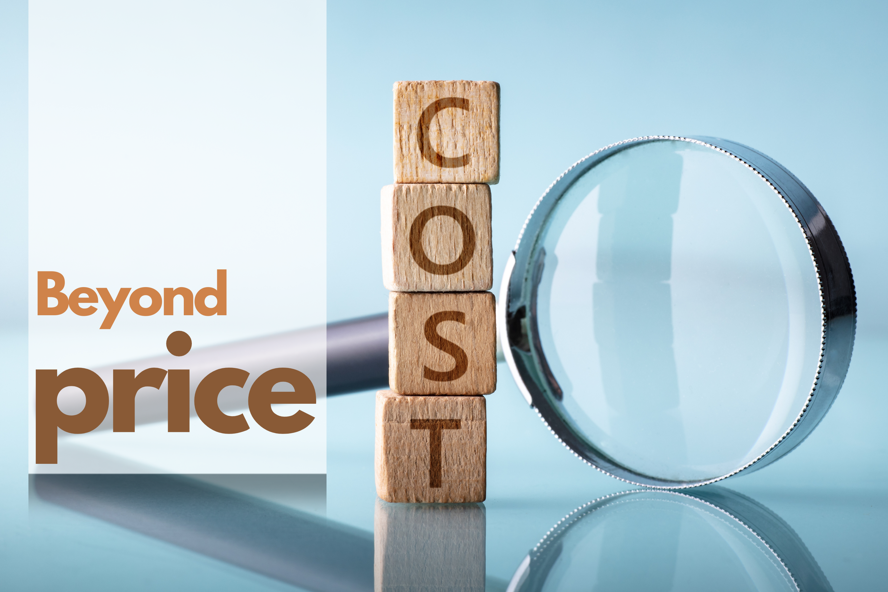 Beyond Price: What Really Influences the Choice of a Ferry