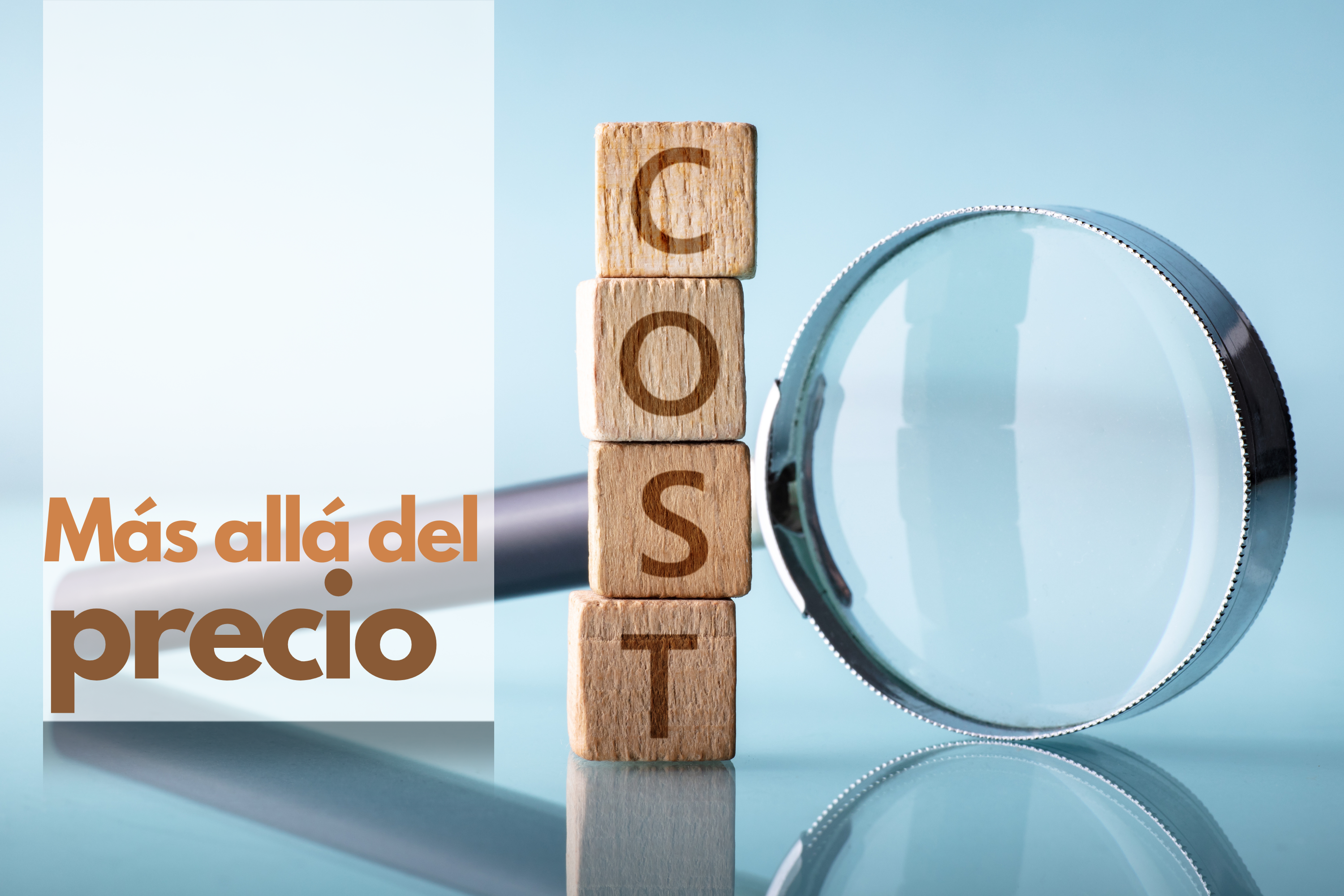 Más allá del precio: ¿qué influye en la elección de un ferry? 