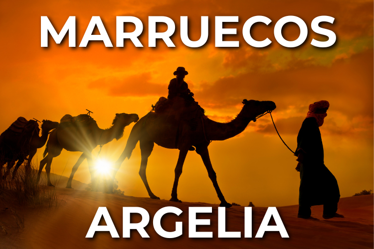 ¿Vas a viajar en ferry a Marruecos o Argelia? Por qué es importante llegar con antelación al puerto