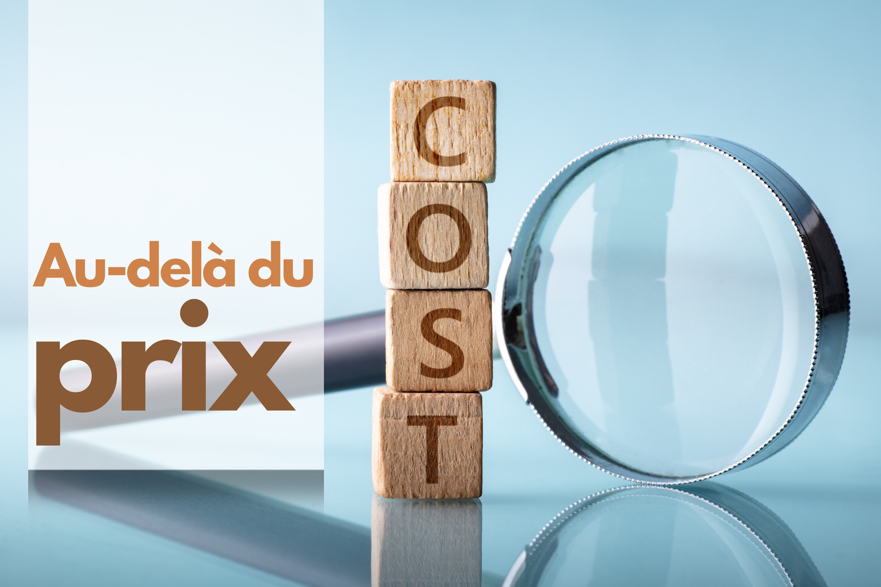 Au-delà du prix : ce qui influence le choix d’un ferry 